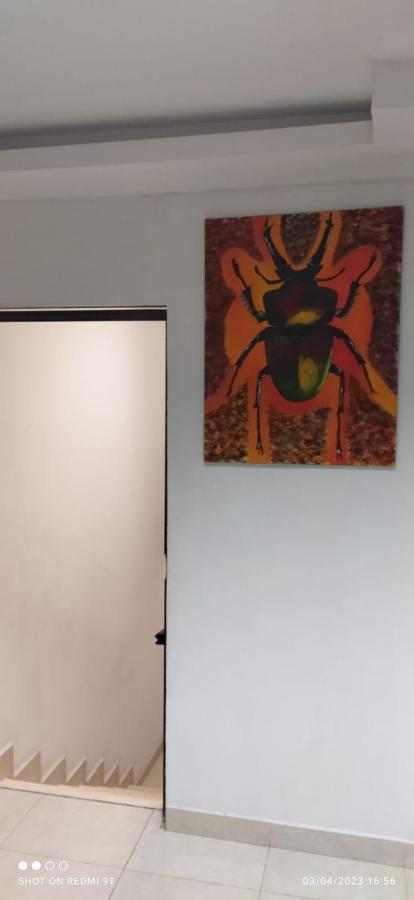 Oaxaca Hospedaje Familiar מראה חיצוני תמונה
